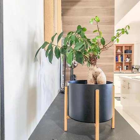 Escapade Culturelle Havraise